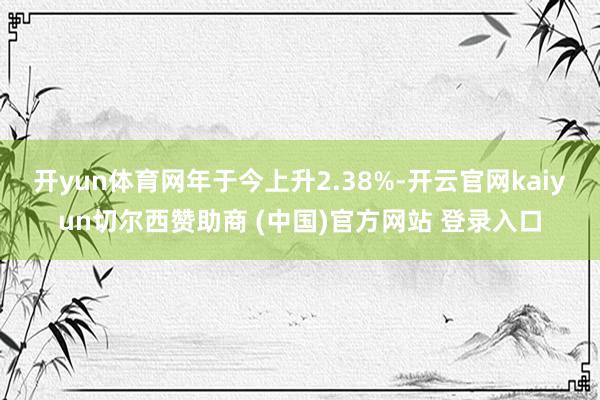 开yun体育网年于今上升2.38%-开云官网kaiyun切尔西赞助商 (中国)官方网站 登录入口