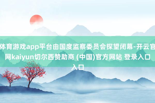 体育游戏app平台由国度监察委员会探望闭幕-开云官网kaiyun切尔西赞助商 (中国)官方网站 登录入口