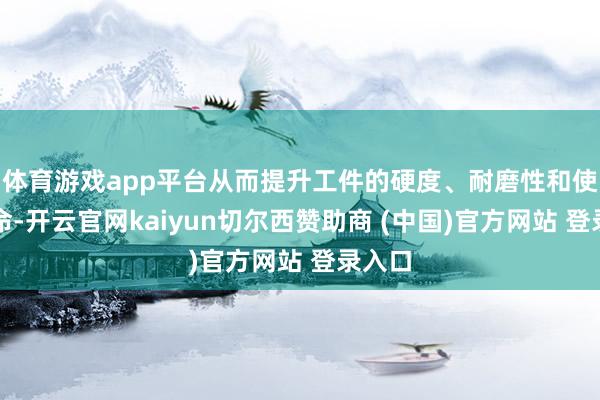 体育游戏app平台从而提升工件的硬度、耐磨性和使用寿命-开云官网kaiyun切尔西赞助商 (中国)官方网站 登录入口