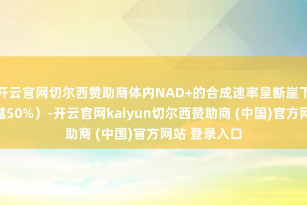 开云官网切尔西赞助商体内NAD+的合成速率呈断崖下落（降幅卓越50%）-开云官网kaiyun切尔西赞助商 (中国)官方网站 登录入口