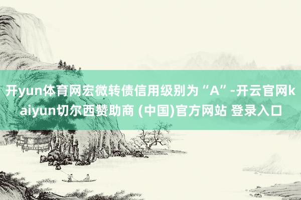 开yun体育网宏微转债信用级别为“A”-开云官网kaiyun切尔西赞助商 (中国)官方网站 登录入口